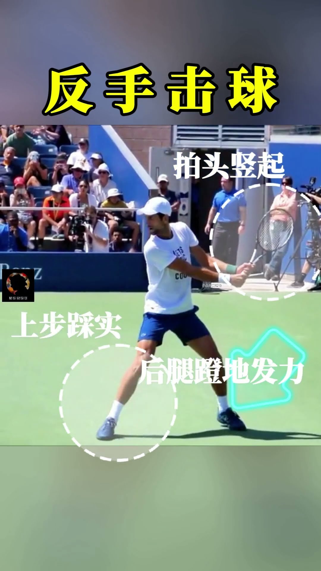 案例分析 案例分析