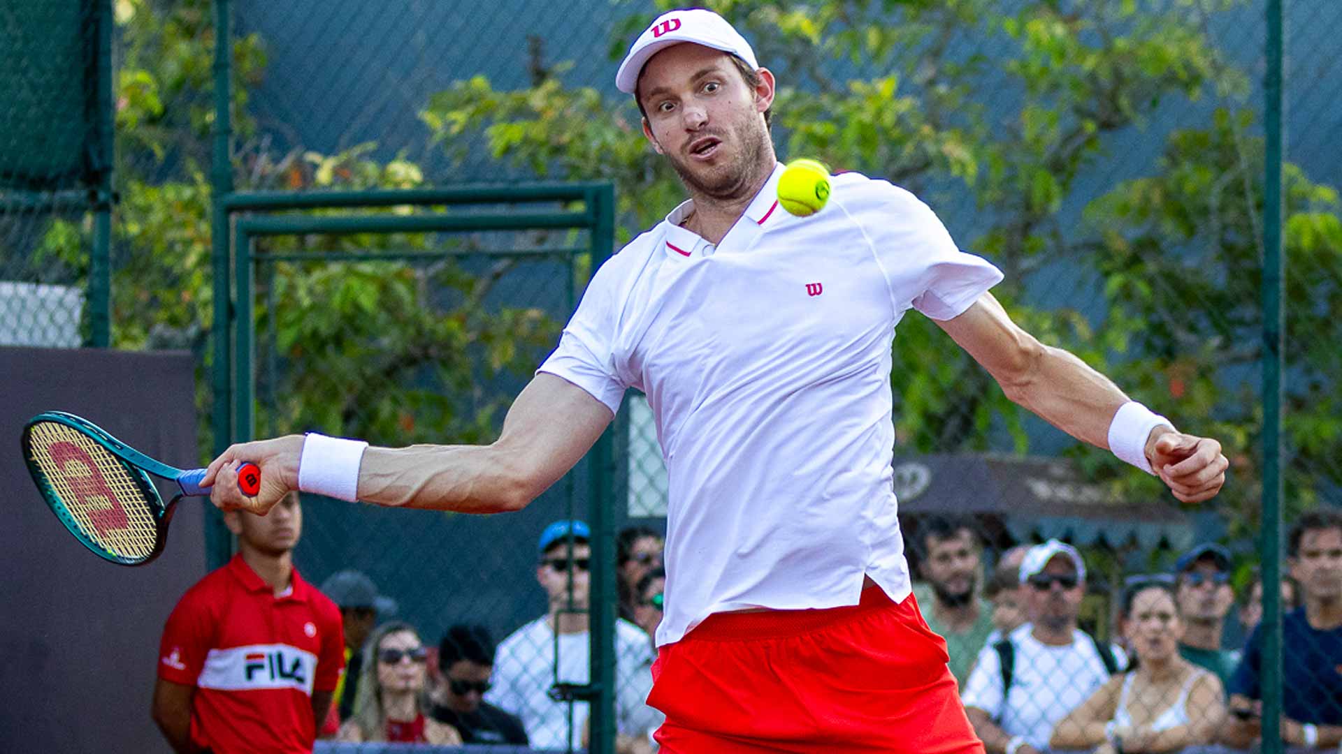 蒙上了一层 蒙上了一层