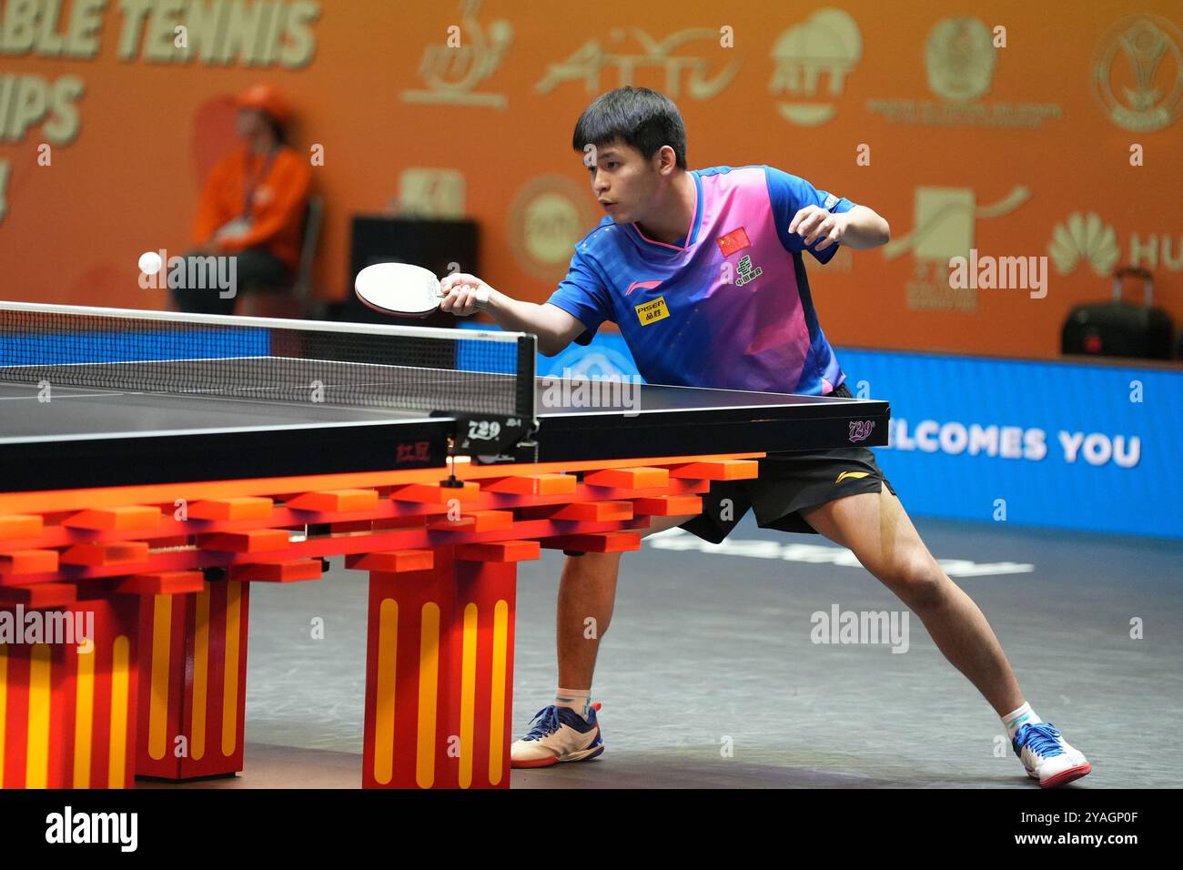 纷通过引进 纷通过引进